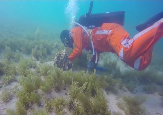 J9.COM·(中国集团)官方网站